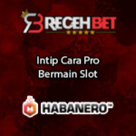 Intip Cara Pro Bermain Slot