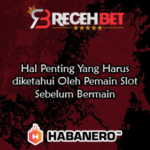 Hal Penting Yang Harus diketahui Oleh Pemain Slot Sebelum Bermain