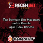 Tips Bermain Slot Habanero untuk Pemula agar Tidak Boncos