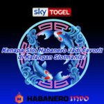 Kenapa Slot Habanero Jadi Favorit di Kalangan Slotmania?