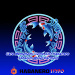 Cara Memahami Game Slot Habanero Sebelum Mulai Bermain