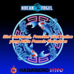 Panduan Lengkap Bermain Slot Habanero untuk Pemula